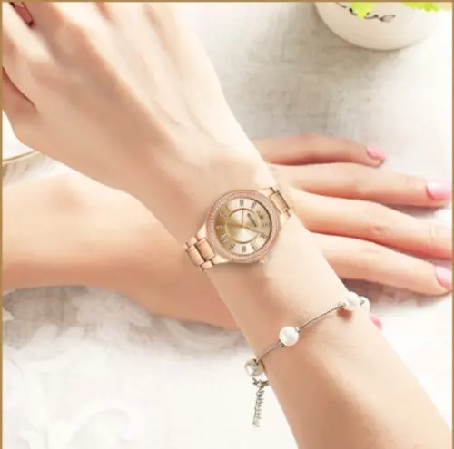 CASSANDRA Womens Classic Watch | 550755 Alfafammily.com